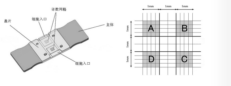 1482915282782219.png 4444.png