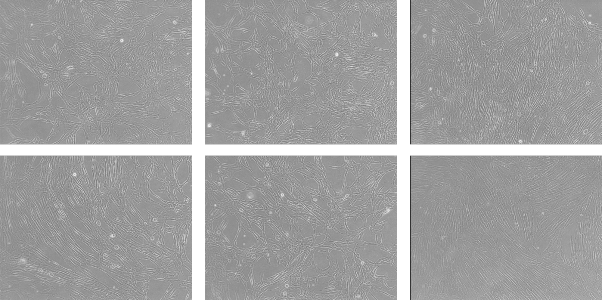 1514005298845832.png 1514005298845832.png