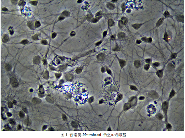 1700797485345565.png image.png