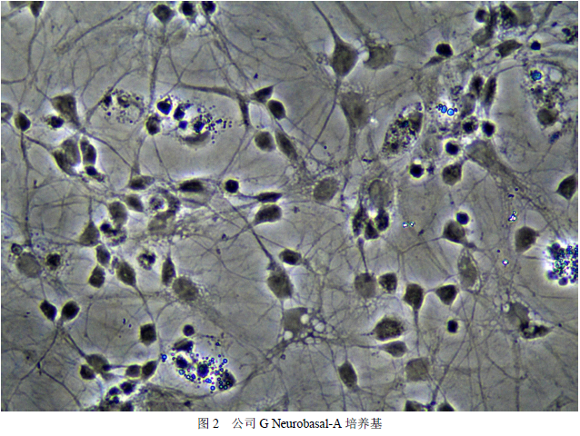 1700797527301358.png image.png