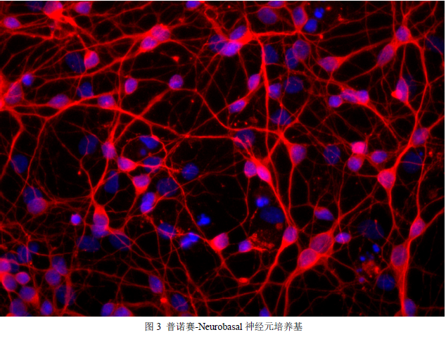 1700797582309408.png image.png