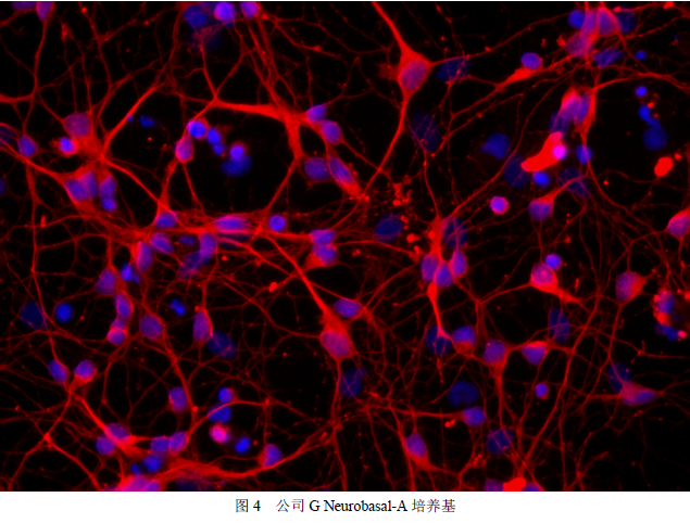 1700797606953558.png image.png