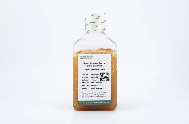 1709275097701183.jpg 1709275097701183.jpg