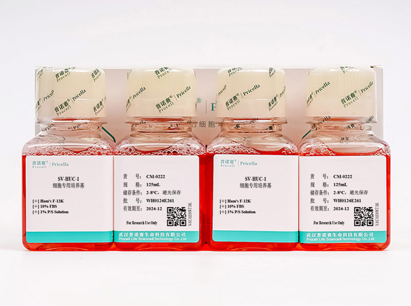 SV-HUC-1細(xì)胞專(zhuān)用培養(yǎng)基