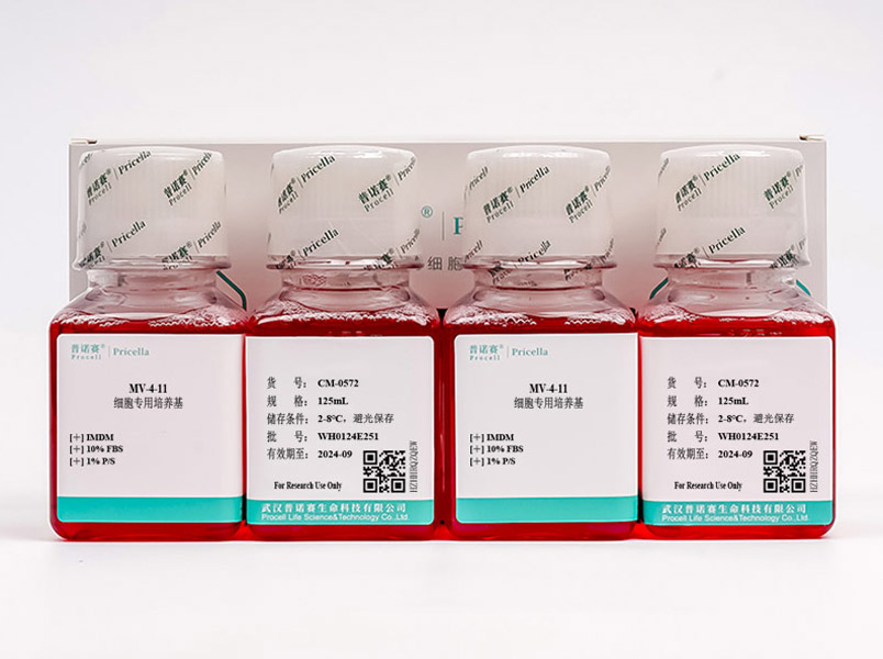 MV-4-11細胞專用培養(yǎng)基
