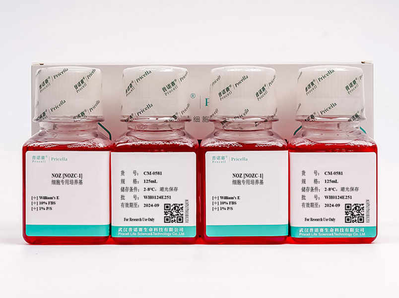 NOZ [NOZC-1]細(xì)胞專用培養(yǎng)基