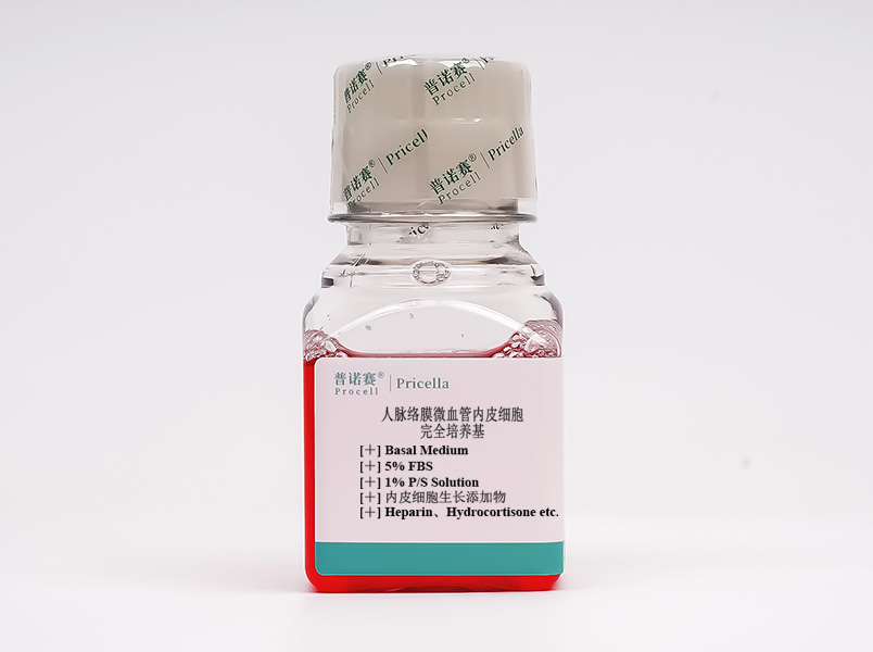 人脈絡膜微血管內皮細胞完全培養(yǎng)基