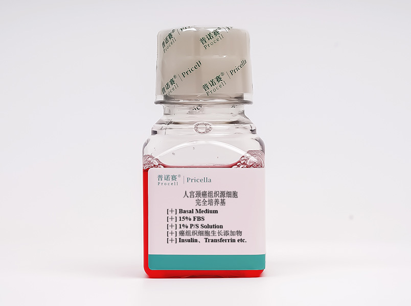 人宮頸癌組織源細(xì)胞完全培養(yǎng)基