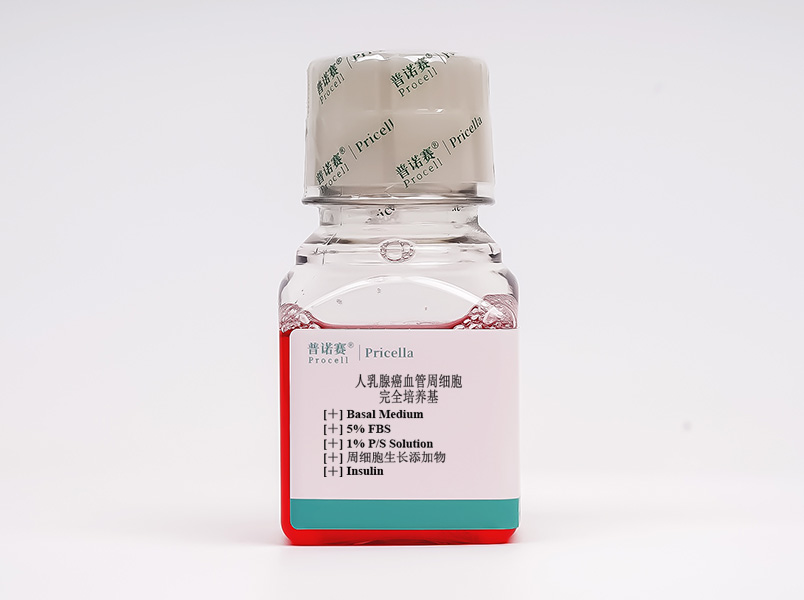人乳腺癌血管周細胞完全培養(yǎng)基