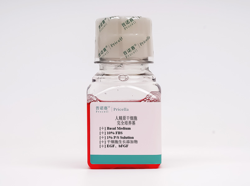 人精原干細胞完全培養(yǎng)基