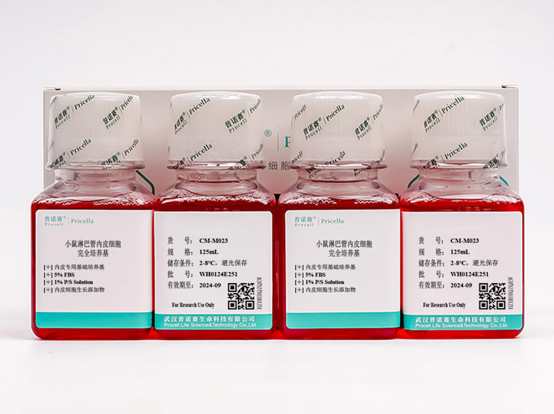 小鼠淋巴管內(nèi)皮細(xì)胞完全培養(yǎng)基