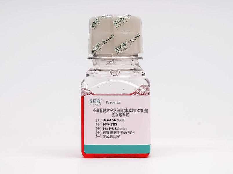 小鼠骨髓樹突狀細(xì)胞(未成熟DC細(xì)胞)完全培養(yǎng)基
