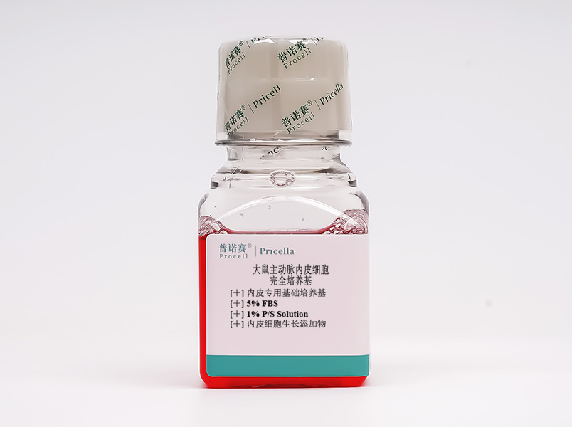 大鼠主動脈內(nèi)皮細(xì)胞完全培養(yǎng)基