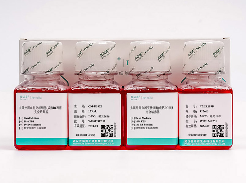 大鼠外周血樹突狀細(xì)胞(成熟DC細(xì)胞)完全培養(yǎng)基