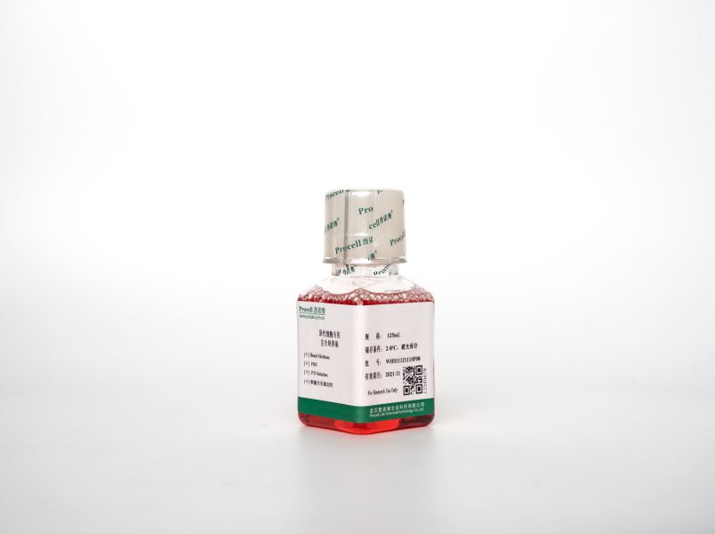 兔腎成纖維細胞完全培養(yǎng)基