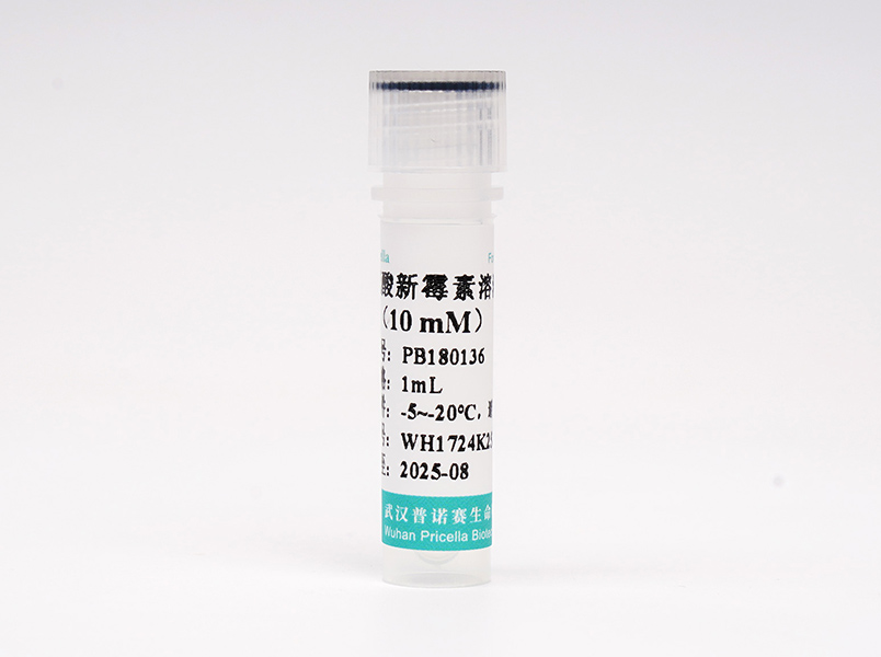 硫酸新霉素溶液(10 mM)