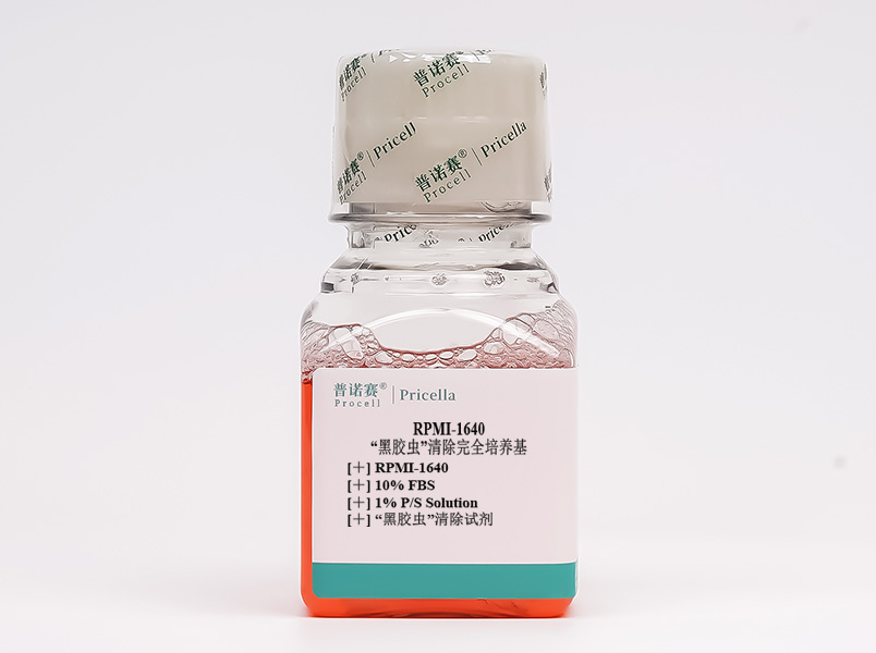 “黑膠蟲”清除完全培養(yǎng)基(RPMI-1640，含10%FBS)