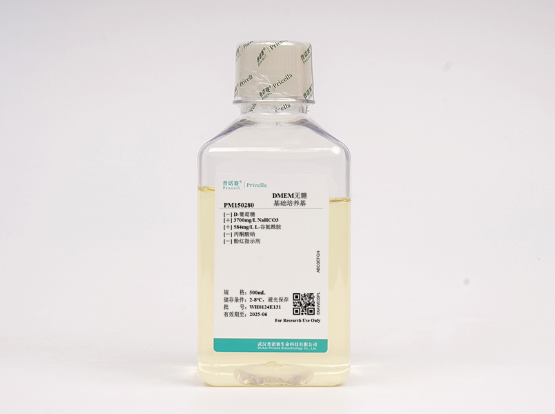 DMEM無糖（不含酚紅、丙酮酸鈉）