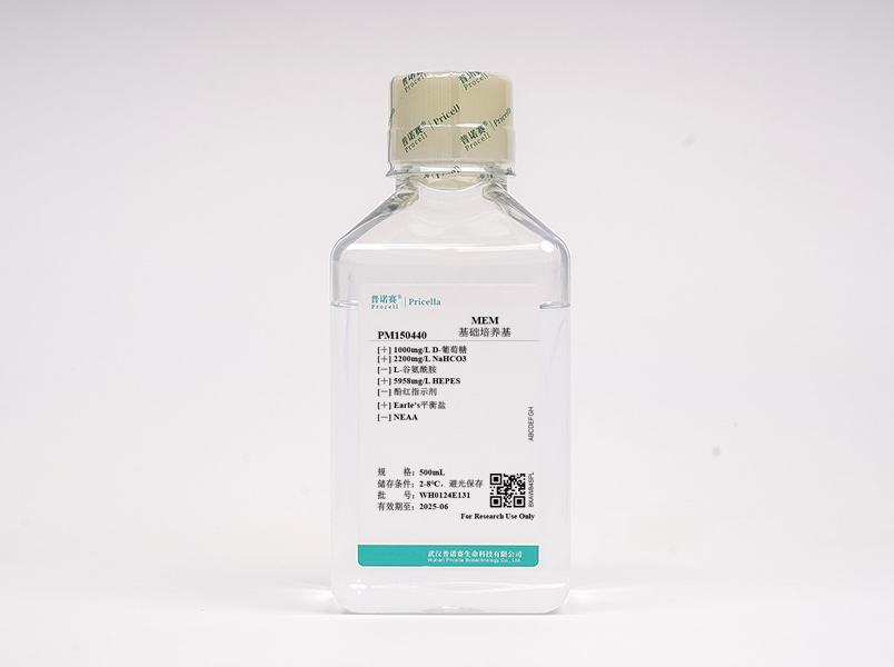 MEM (不含酚紅、L-谷氨酰胺，含HEPES)